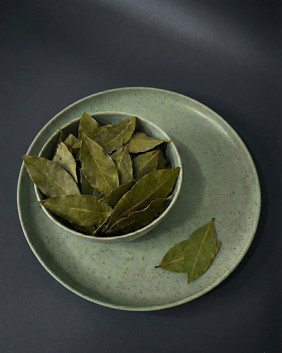 Anka Kökü – Defne Yaprağı