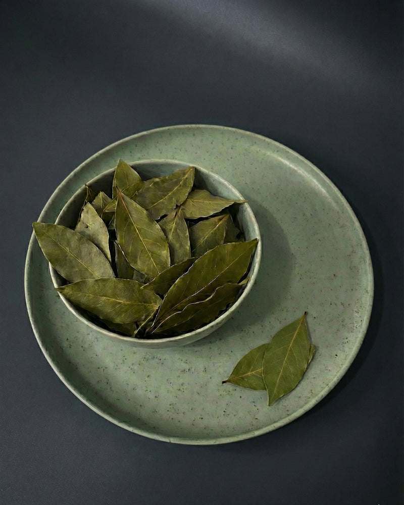 Anka Kökü – Defne Yaprağı