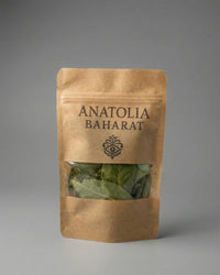 Anka Kökü – Defne Yaprağı