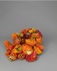 Anadolu Güneşinde Kurutulmuş Dolmalık Biber