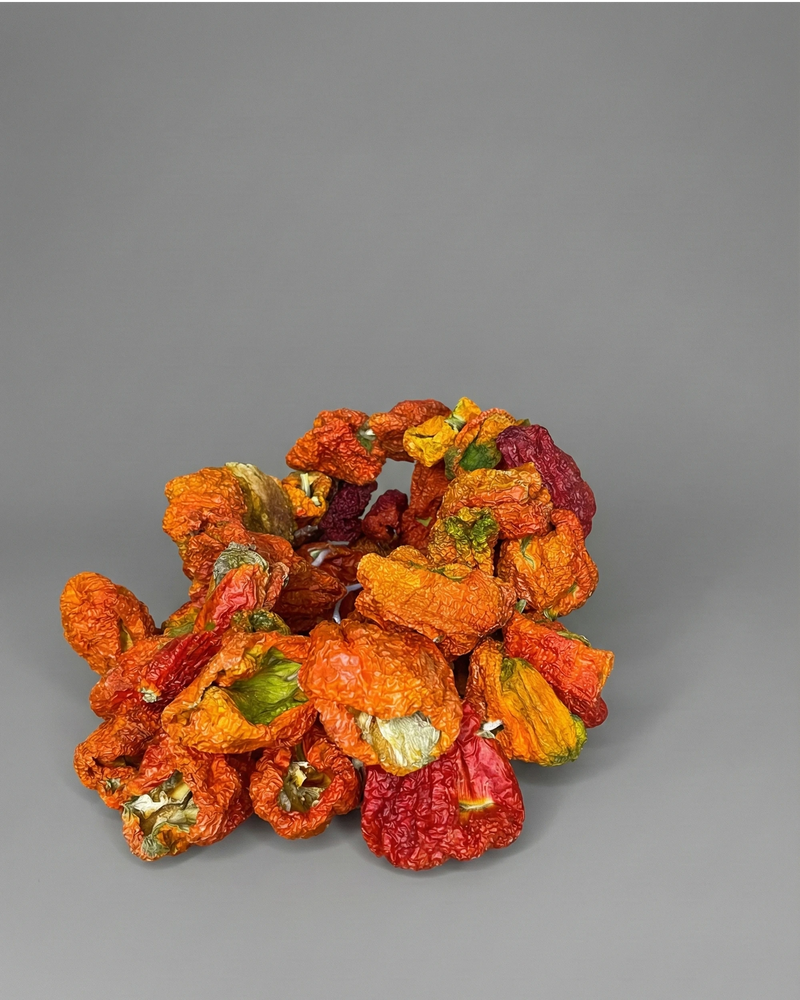 Anadolu Güneşinde Kurutulmuş Dolmalık Biber