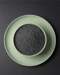 Kahve Gölgesi – Mavi Haşhaş