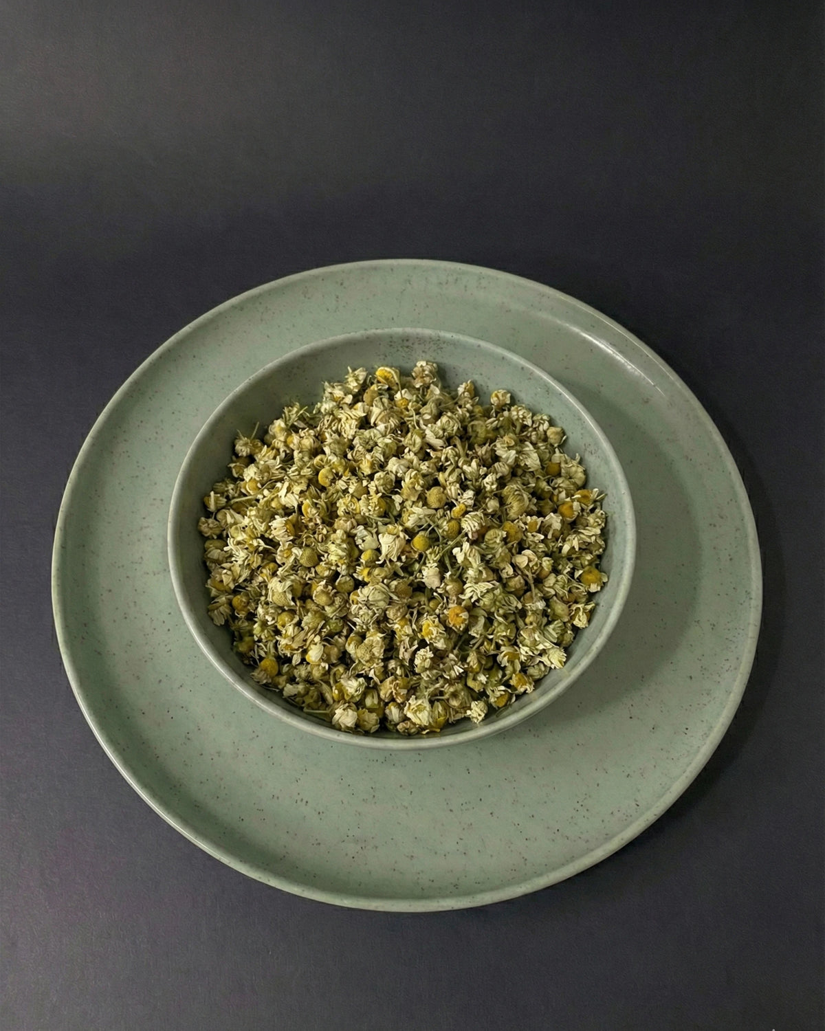 Anadolu Işığı – Beyaz Papatya