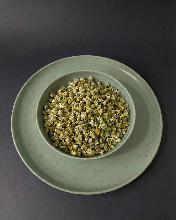 Anadolu Işığı – Beyaz Papatya