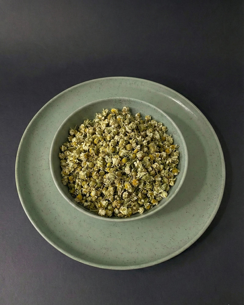 Anadolu Işığı – Beyaz Papatya